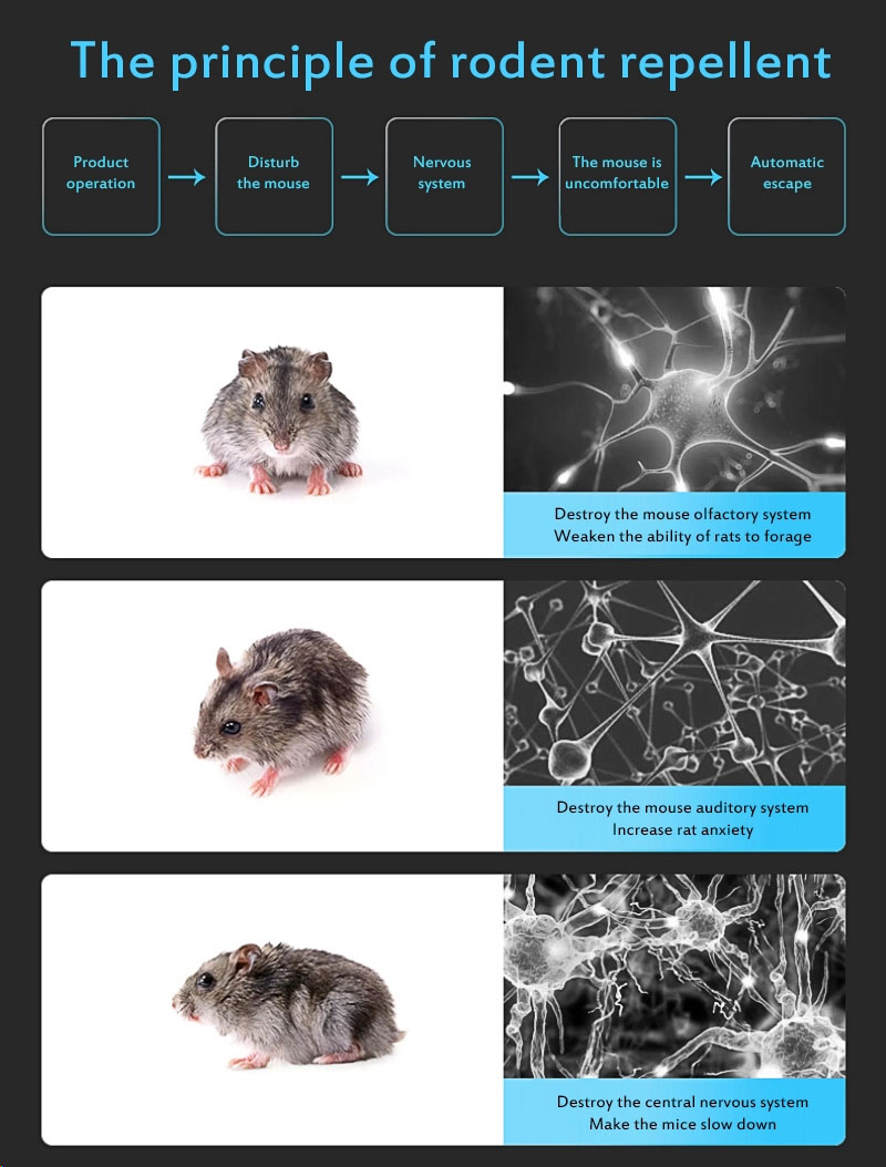 Uppgraderad stark elektronisk musavstötare Ekorravvisande Anti-Rått Myggdödare Skadedjursskydd Myggavvisande kontroll Trap10