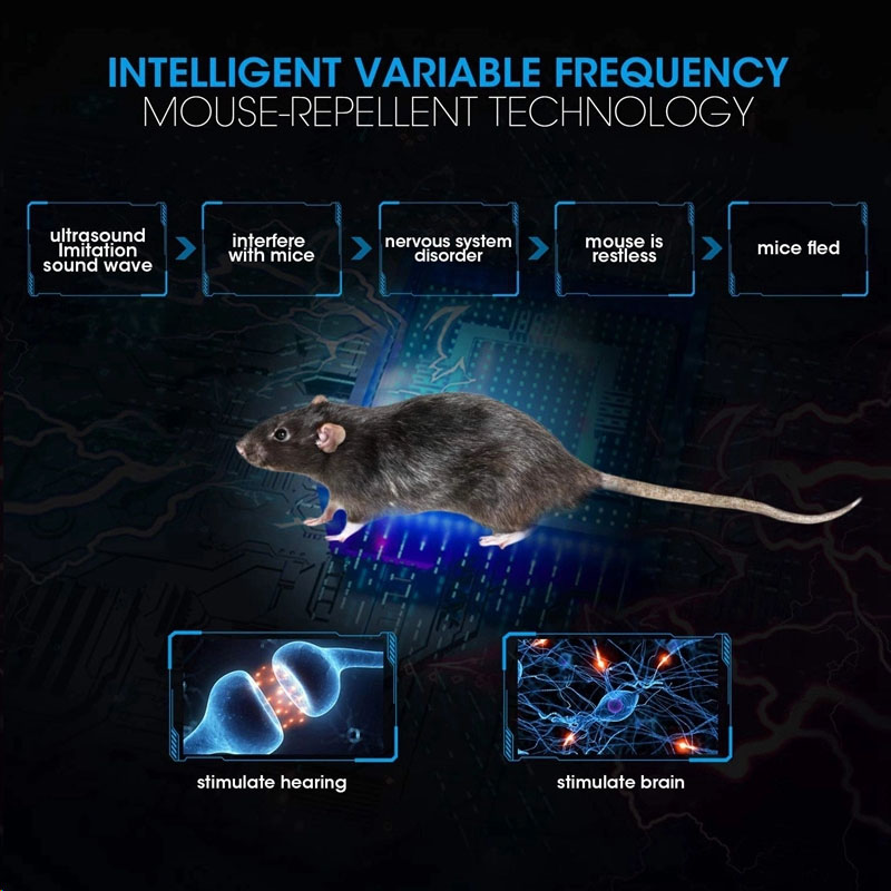 Répulsif de souris électronique puissant amélioré répulsif d'écureuil Anti-rat moustique tueur répulsif anti-moustique contrôle de rejet de moustique Trap4