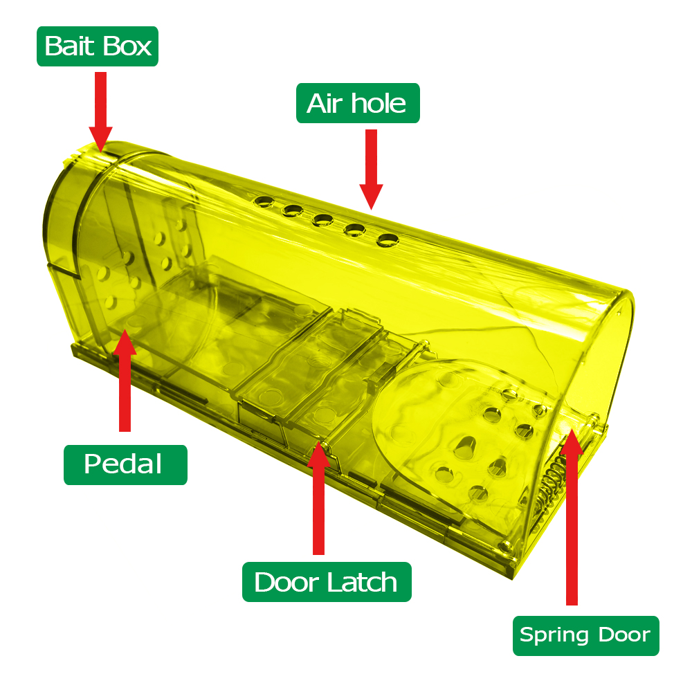 Yellow-Function