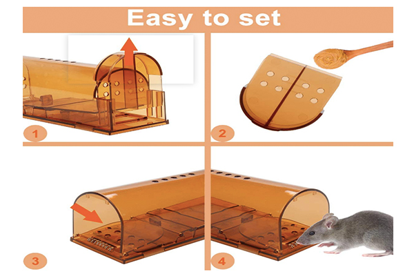 mousetrap