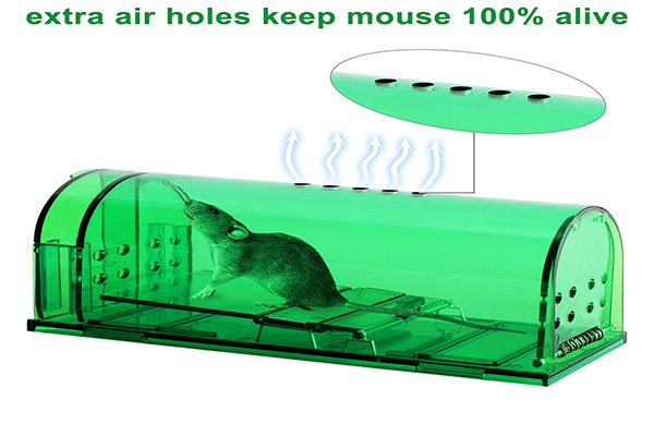 Mouse Trap 3