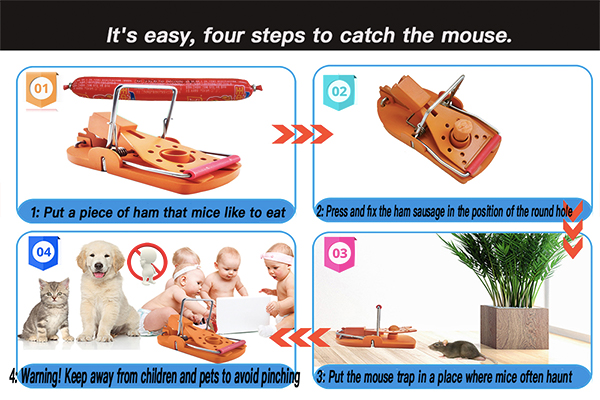 mouse traps 1