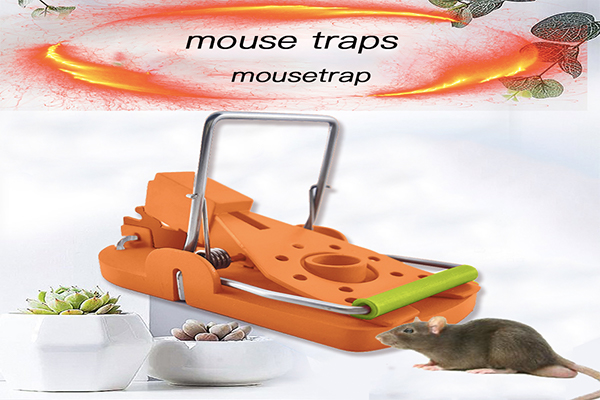 mouse traps 2