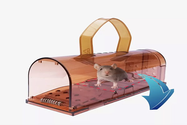 mousetrap 3